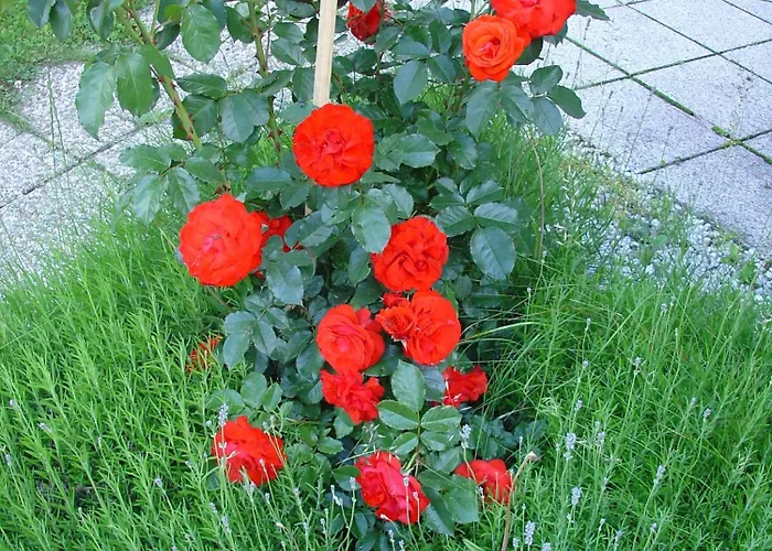 Гостевой дом Haus Fernblick